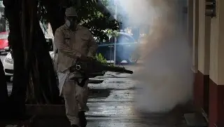 Imagen Ya son 13 casos confirmados de dengue en Veracruz este año; es cuarto lugar nacional