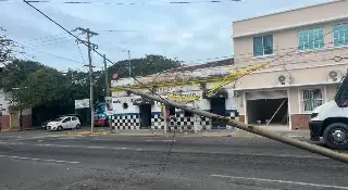 Imagen Se cae una luminaria en el centro de Veracruz 