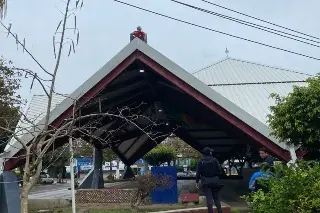 Imagen Sujeto intenta arrojarse de pérgola del parque Juárez en Poza Rica