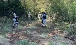 Imagen Secuestran a comerciante cafetalero en Zentla, Veracruz; autoridades investigan