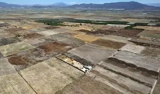 Imagen Habría al menos otros 4 campos de exterminio en Jalisco: Ceci Flores 