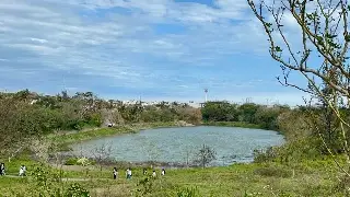 Imagen Buscarán sembrar mojarras en lagunas de Veracruz para abastecerse en vedas y mal tiempo