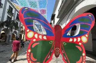 Imagen Además del tapete aéreo, hay mariposas en Veracruz 