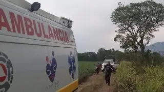 Imagen Hallan sin vida a hombre en medio de cañales en Atzacan, Veracruz 