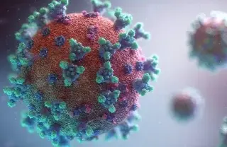 Imagen China sugiere que el virus del COVID-19 pudo surgir antes en EU