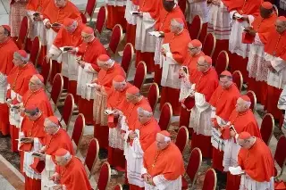 Imagen Ellos son los cardenales que elegirán al nuevo papa