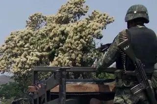 Imagen Reportan detención relevante tras enfrentamiento de militares con civiles armados en Sinaloa
