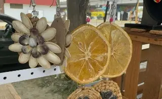 Imagen Con semillas de diferentes frutos hace arte al norte de Veracruz