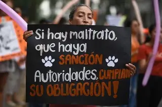 Imagen Marchan para exigir justicia por maltrato animal en Veracruz