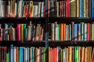 Imagen De esto trata el libro 'La Conquista para gente con prisa'