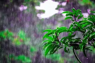 Imagen Lluvias y fuertes rachas de viento continúan este sábado en Veracruz