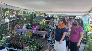 Imagen Realizan ExpoFlores en el parque Zamora de Veracruz 