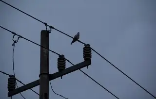 Imagen Lluvias dejaron sin luz por más de 24 horas miles de personas en Tabasco