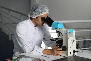 Imagen Descubren una nanoterapia con azúcar de plantas contra las enfermedades neurodegenerativas