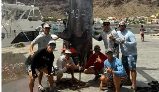 Imagen ¿Qué características tiene el marlín gigante capturado por pescadores de Veracruz?