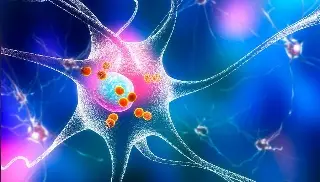 UNAM estudia tratamiento de Parkinson con dispositivo nanotecnológico