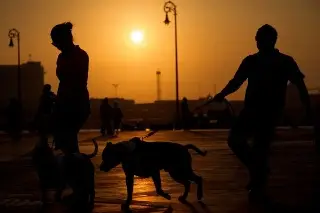 Imagen Emiten recomendaciones para evitar golpe de calor en Veracruz