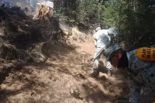 Imagen Suman 102 incendios forestales este año en Veracruz