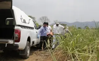 Imagen Hallan sin vida a hombre y con huellas de violencia en camino terracería de Atoyac, Veracruz
