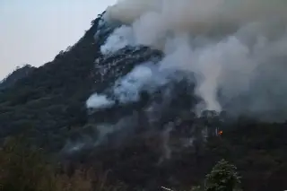 Habitantes de Huiloapan de Ocampo piden auxilio para combatir incendio forestal