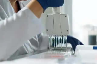 Imagen Descubren una mutación genética que aumentó la estatura y aceleró el metabolismo humano
