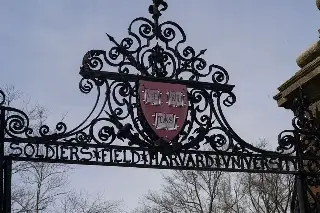 Japón se prepara ante prohibición de Trump a Harvard de matricular extranjeros