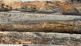 Imagen Ya sustituyen las escaleras al campanario de la catedral de Veracruz por uno de cedro 
