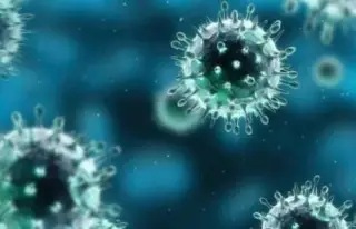 Imagen ¿Qué tan peligrosa es la variante XEC de COVID-19?