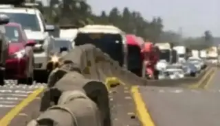 Imagen Hay cierre parcial de circulación en autopista de Veracruz; es por esta razón 