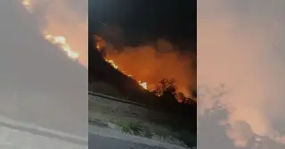 Imagen Se incendia pastizal en la zona de El Coyol, en la ciudad de Veracruz
