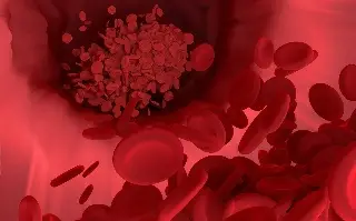 Hoy es Día Mundial del Cáncer en la Sangre