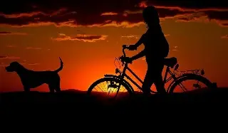 Imagen Hoy es el Día Mundial de la Bicicleta