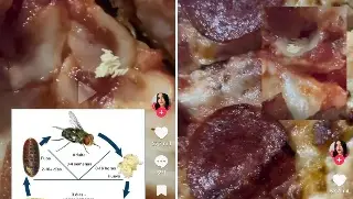 Imagen Clienta encuentra huevos de mosca en pizza de una conocida cadena de comida