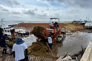 Imagen Semar intensifica esfuerzos para combatir sargazo en el Caribe mexicano