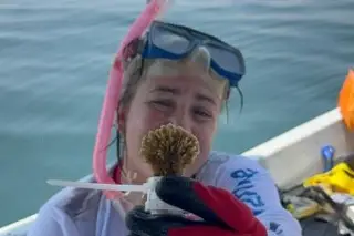Imagen Siembran corales en esta zona del mar de Veracruz