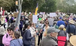 Imagen Texas despliega a 7 mil elementos de la Guardia Nacional y la policía por protestas