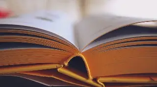 Imagen De esto trata la lectura 'Bastian Bom y el cocodrilo blanco'; así fue desarrollada 