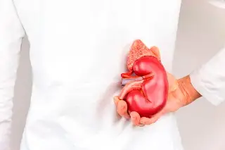 Imagen Expertos advierten que diagnóstico oportuno es clave para tratar enfermedad renal crónica