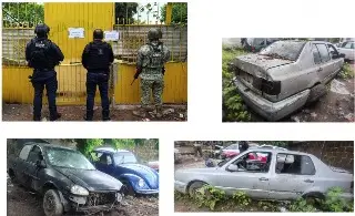 Imagen Operativo de cateo en corralón del centro de Isla, Veracruz. Esto aseguraron