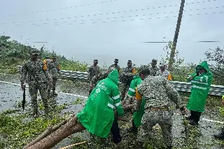 Imagen 'Erick' pierde intensidad y baja a tormenta tropical tras tocar tierra en Oaxaca