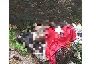 Imagen Localizan cuerpos de dos hombres y una mujer a orillas del Río Blanco