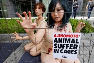 Imagen Activistas se enjaulan para protestar por experimentación animal de empresa japonesa