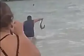 Imagen Indigna al sacar del mar a cría de tiburón martillo, en peligro de extinción (+Video)