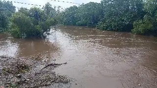 Imagen Reporta PC de Medellín descenso en los ríos Jamapa y Cotaxtla 