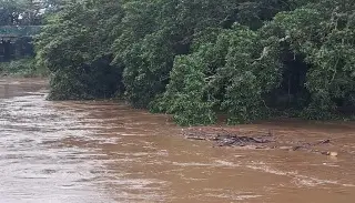 Imagen Desbordamiento de arroyo en Jamapa no representa peligro: alcalde