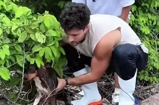 Imagen Denuncia el actor Daniel Azuara abandono de perros y gatos en un islote de Alvarado, Veracruz