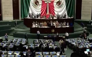 Eliminar diputaciones plurinominales desaparecería voces de las minorías: Exconsejero del INE 