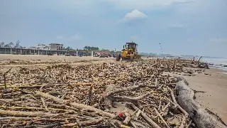 Imagen Lluvias dejan palizada en playas de Tuxpan en Veracruz 