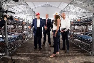 Imagen Rodeada de caimanes: así es 'Alligator Alcatraz', la cárcel para migrantes que Trump inauguró