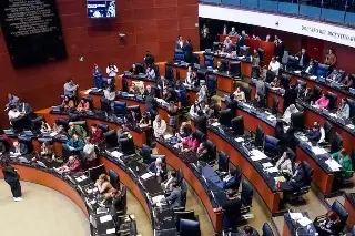 Imagen Concluyen leyes de seguridad; ven Estado espía